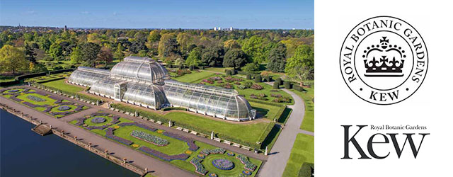 Hikvision nâng cấp hệ thống giám sát cho Vườn Kew ở Luân Đôn